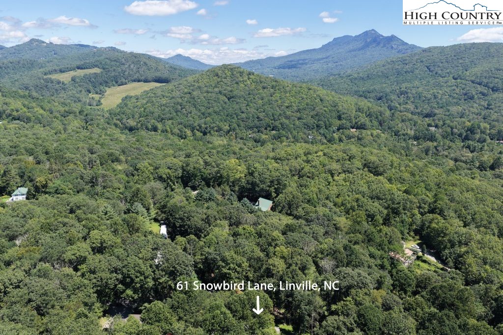 61 Snowbird Lane Property Photo 18