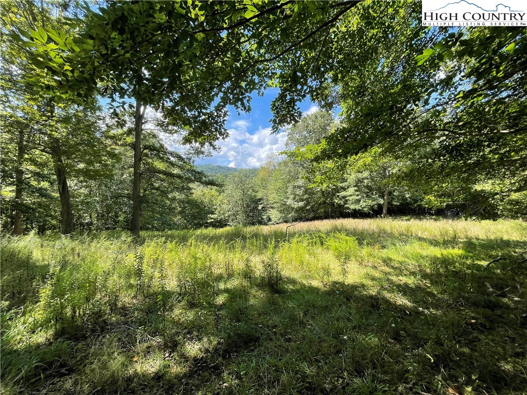 Tbd Long Branch Road Property Photo 1