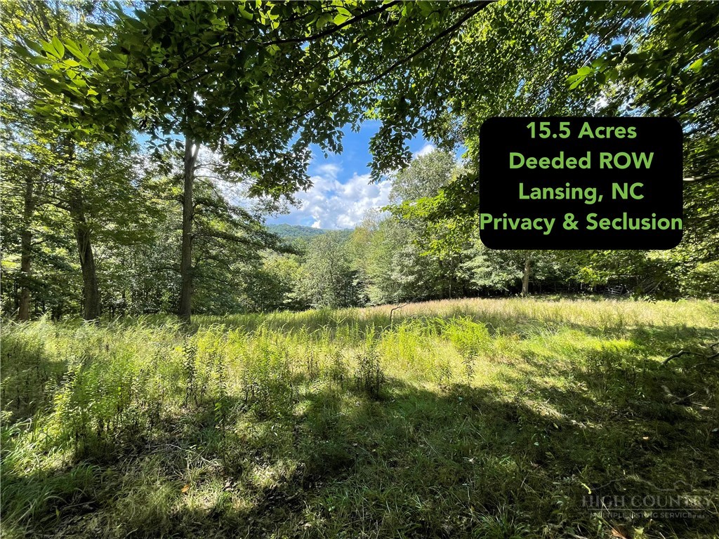 Tbd Long Branch Road Property Photo 1