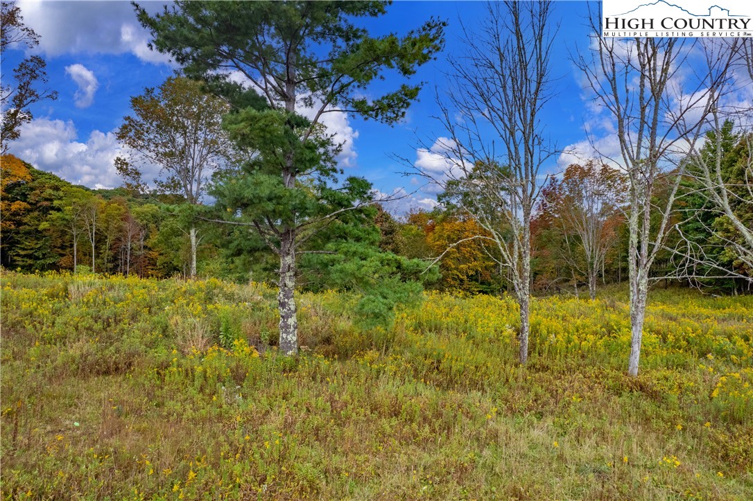 N-55 Eagles Creek Trail Property Photo 2