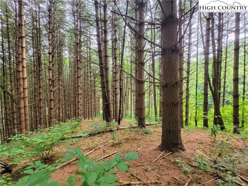 Lot 7 West Mill Creek Est Property Photo 1