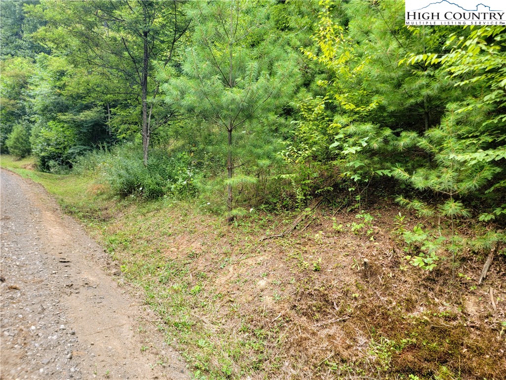 Lot 7 West Mill Creek Est Property Photo 4