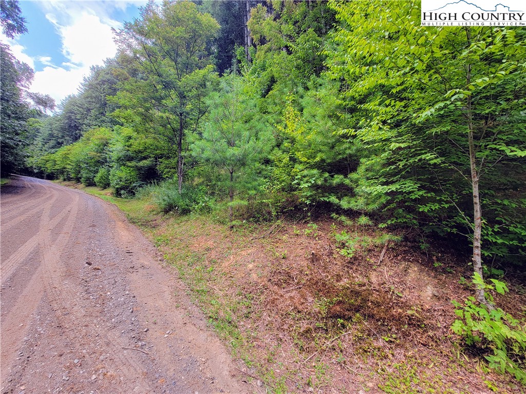 Lot 7 West Mill Creek Est Property Photo 5