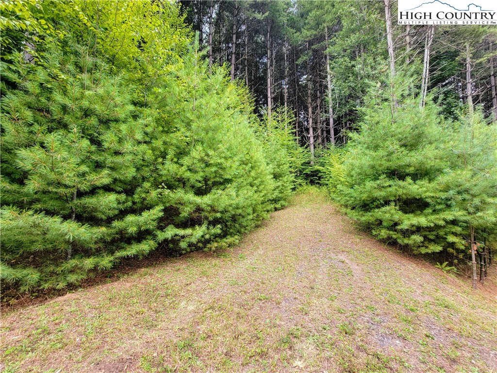 Lot 7 West Mill Creek Est Property Photo 6