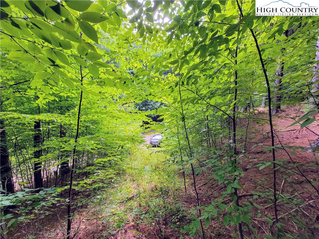 Lot 7 West Mill Creek Est Property Photo 7