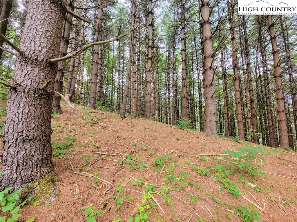 Lot 7 West Mill Creek Est Property Photo 8