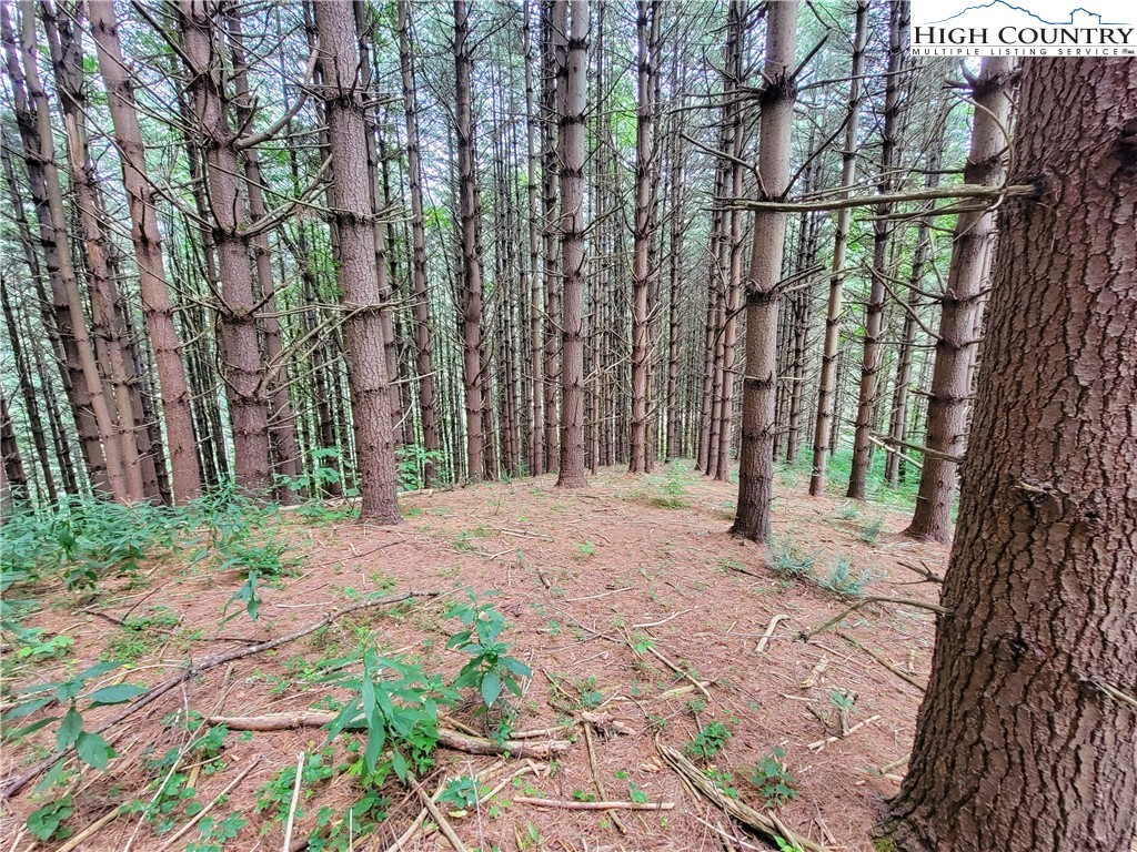 Lot 7 West Mill Creek Est Property Photo 9