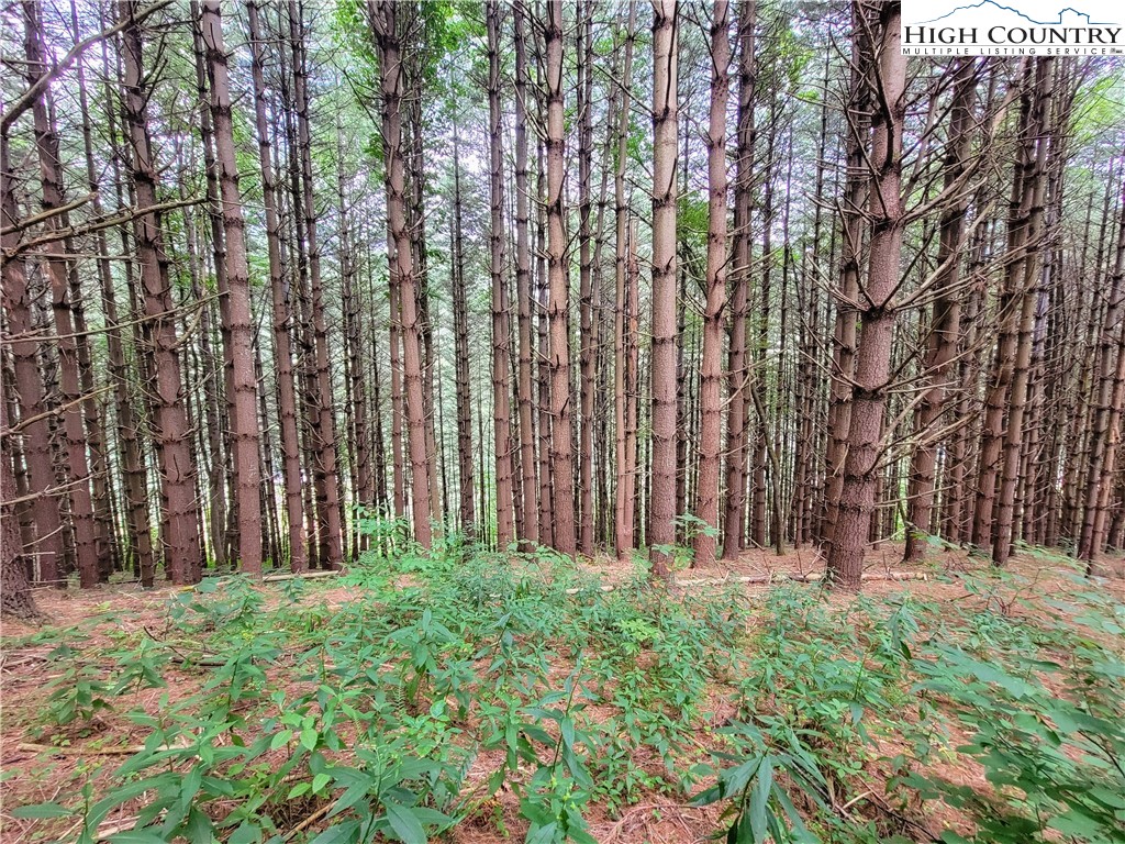 Lot 7 West Mill Creek Est Property Photo 10