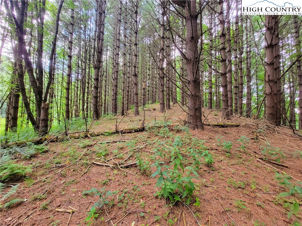 Lot 7 West Mill Creek Est Property Photo 11