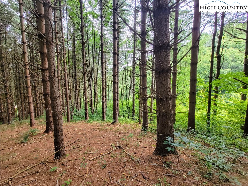 Lot 7 West Mill Creek Est Property Photo 12