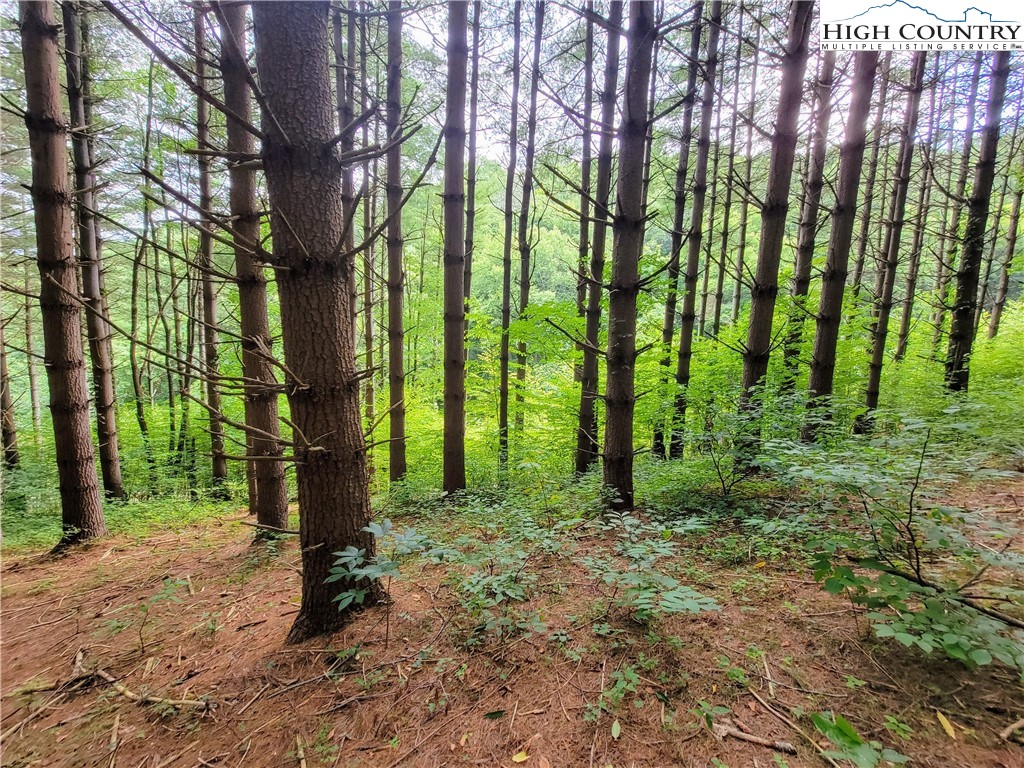 Lot 7 West Mill Creek Est Property Photo 13