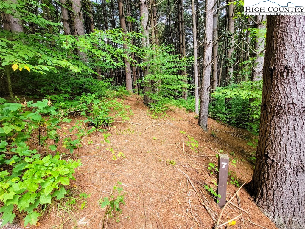 Lot 7 West Mill Creek Est Property Photo 14