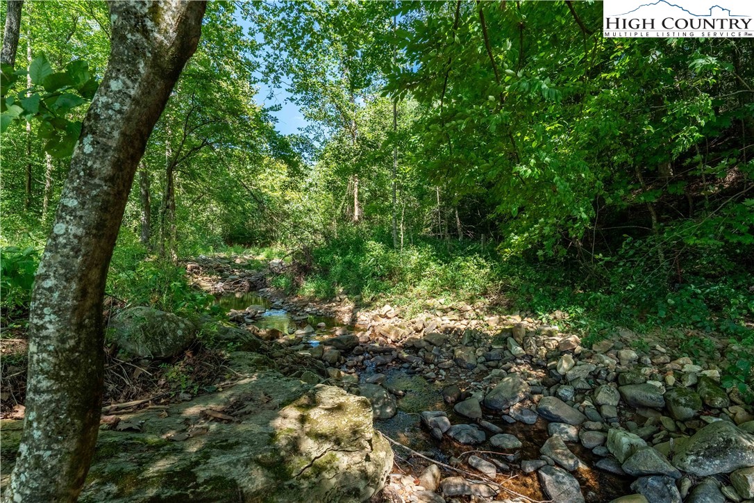 5931 Big Dry Run Road Property Photo 34