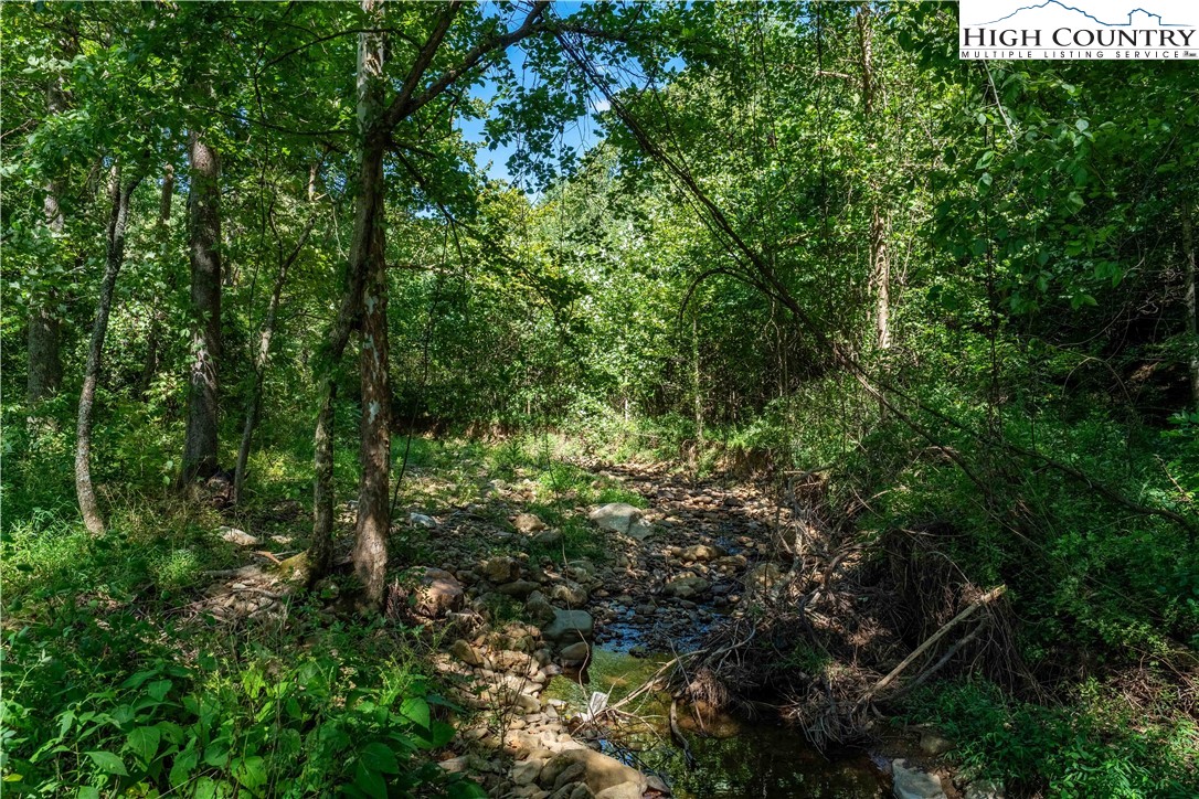 5931 Big Dry Run Road Property Photo 36