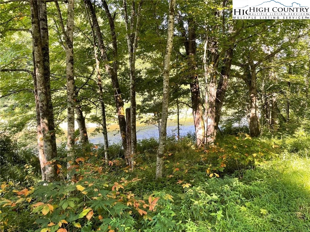 Tbd Todd Railroad Grade Road Property Photo 4