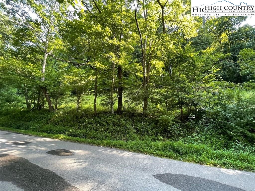 Tbd Todd Railroad Grade Road Property Photo 5