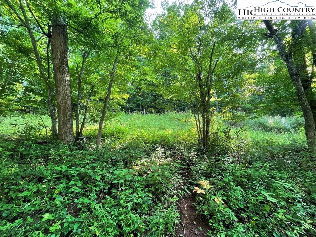 Tbd Todd Railroad Grade Road Property Photo 6