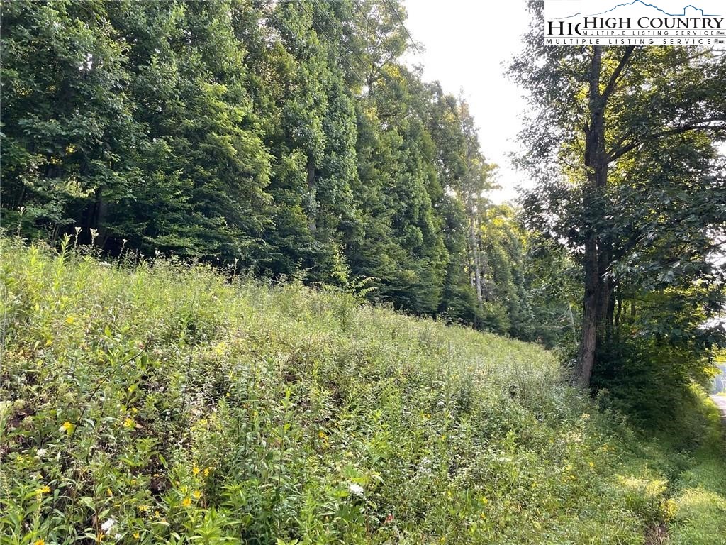 Tbd Todd Railroad Grade Road Property Photo 7