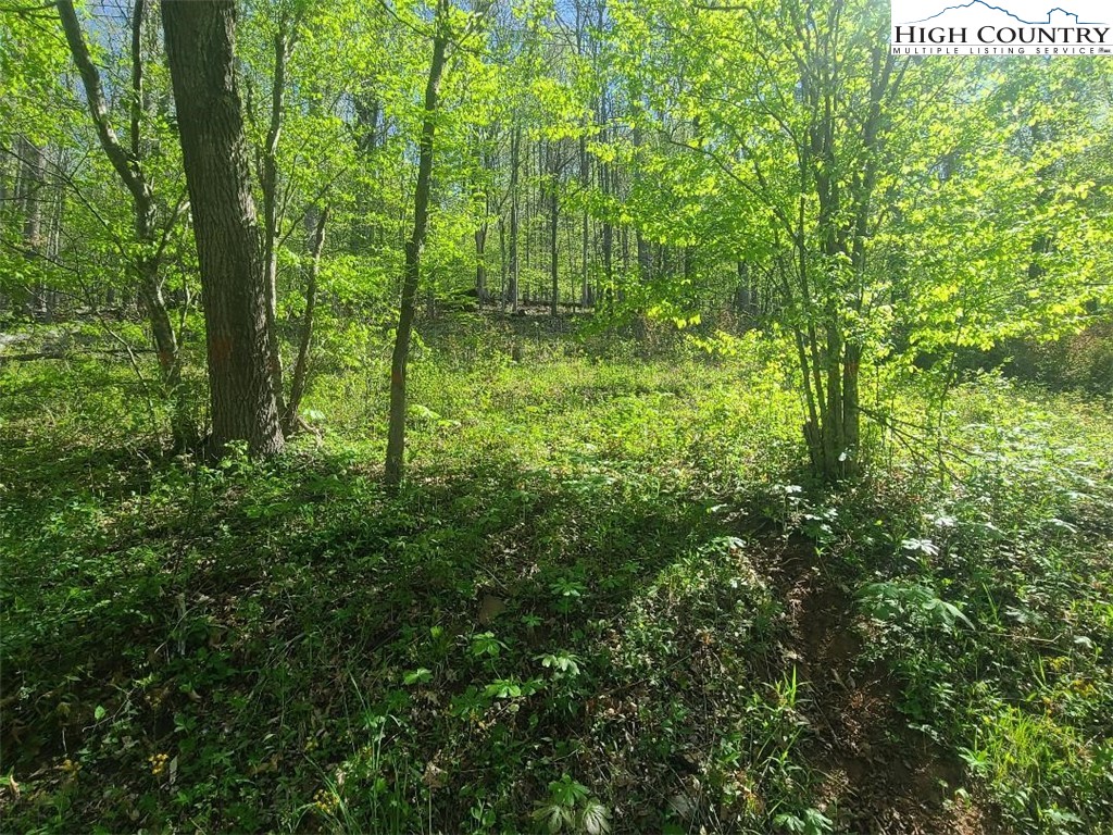 Tbd Todd Railroad Grade Road Property Photo 12