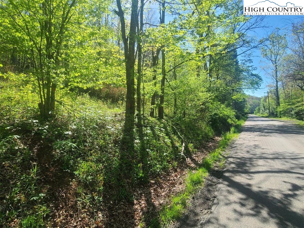 Tbd Todd Railroad Grade Road Property Photo 13