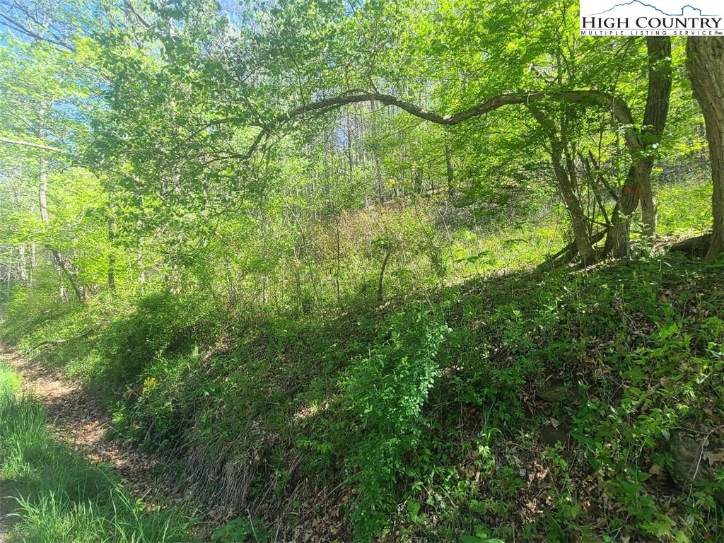 Tbd Todd Railroad Grade Road Property Photo 18