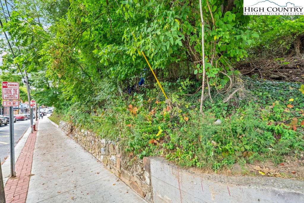 Tbd W King Street Property Photo 4