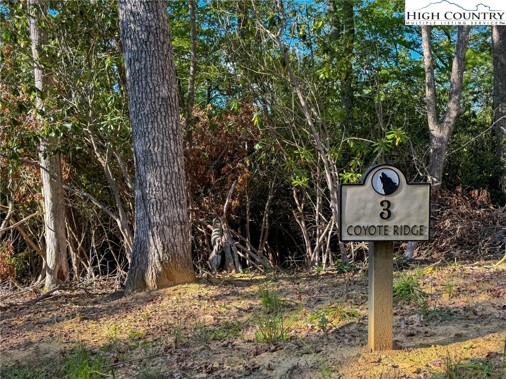 Lot R3 Coyote Trail Property Photo 1