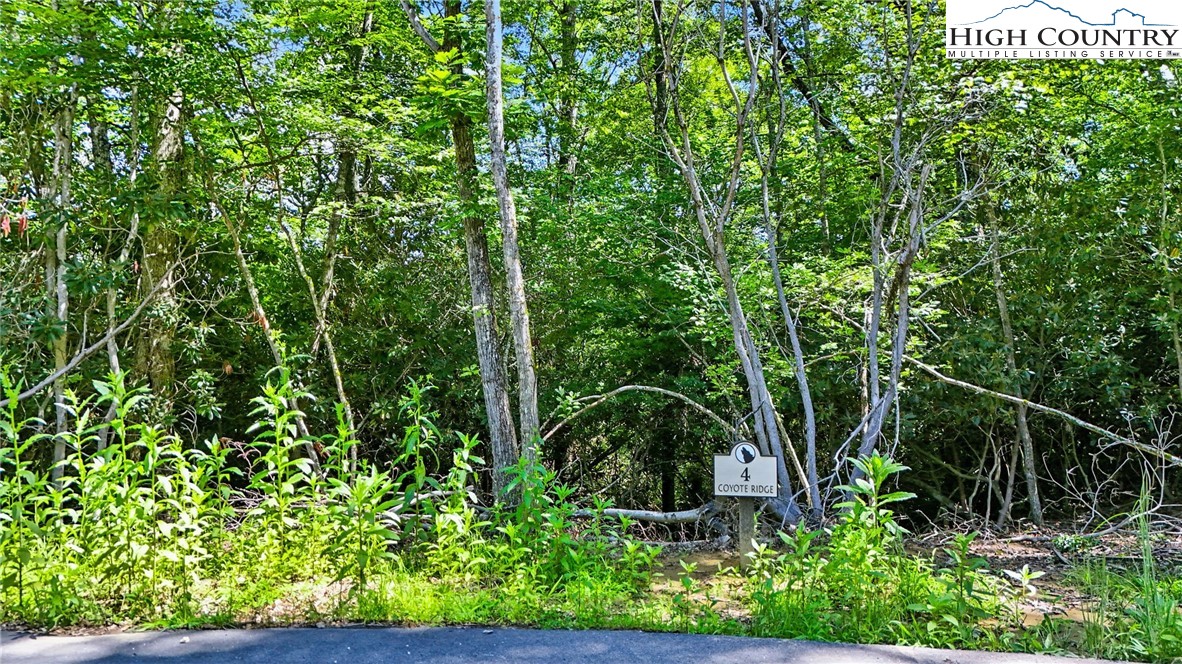 Lot R4 Coyote Trail Property Photo 3
