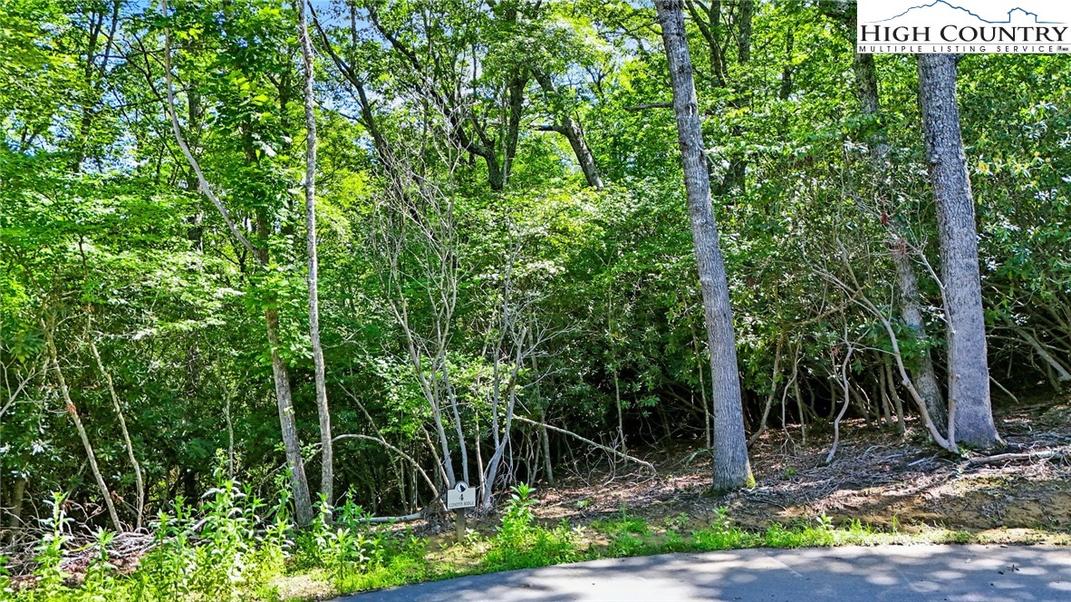 Lot R4 Coyote Trail Property Photo 8
