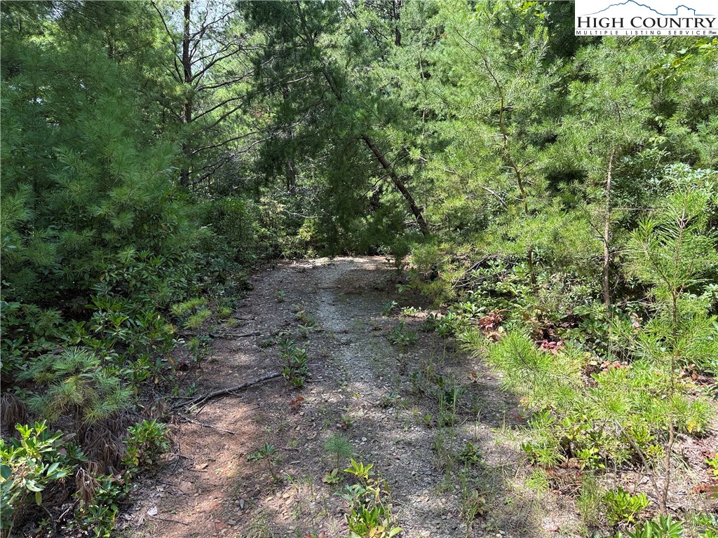 Lot 163 Staghorn Road Property Photo 2