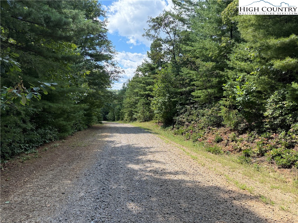 Lot 163 Staghorn Road Property Photo 4