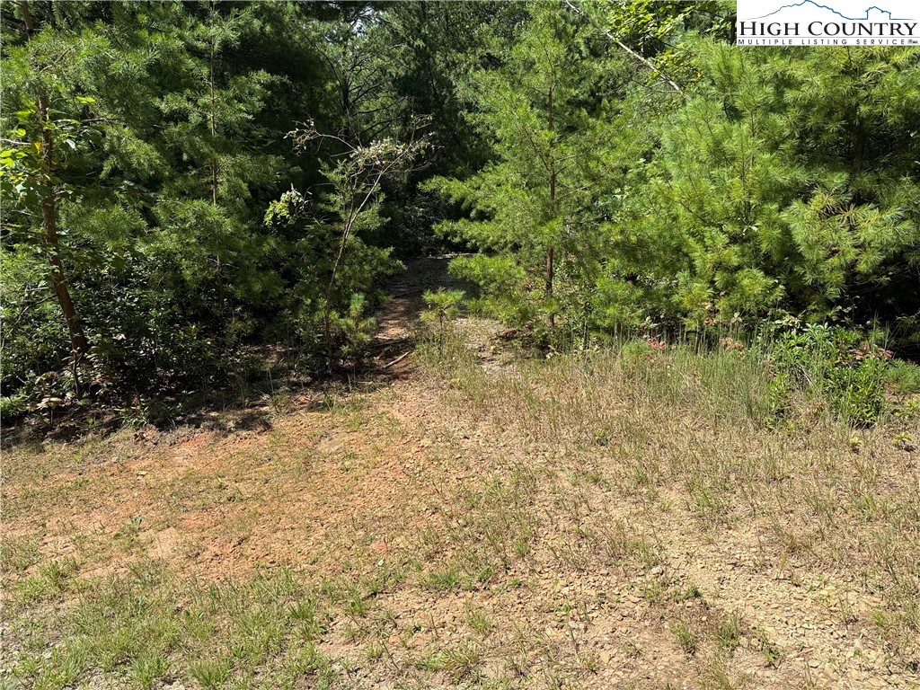 Lot 163 Staghorn Road Property Photo 5