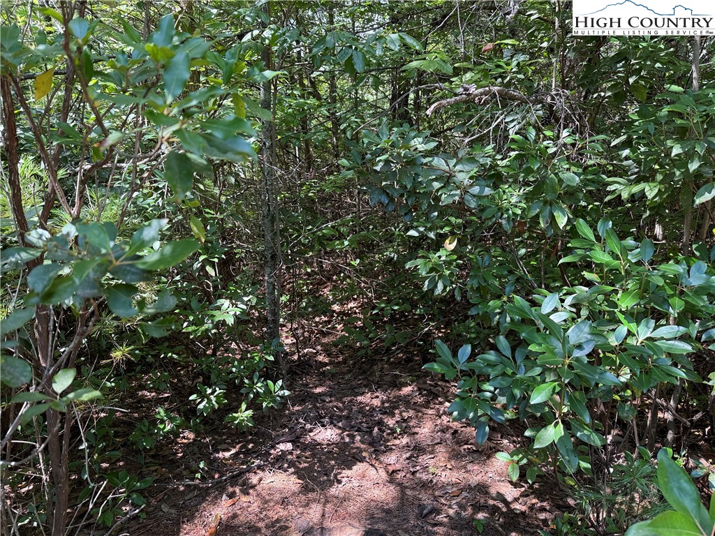Lot 163 Staghorn Road Property Photo 7