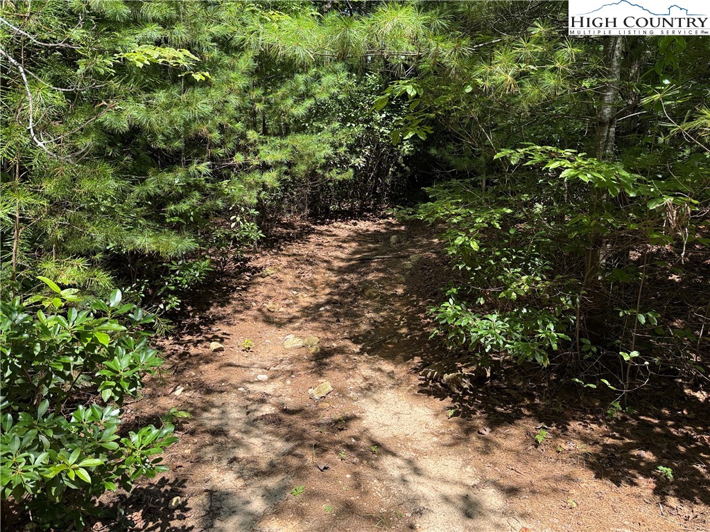 Lot 163 Staghorn Road Property Photo 8