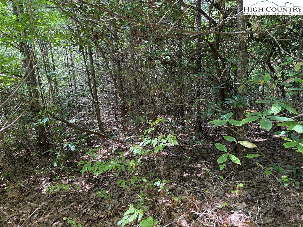 Lot 163 Staghorn Road Property Photo 9