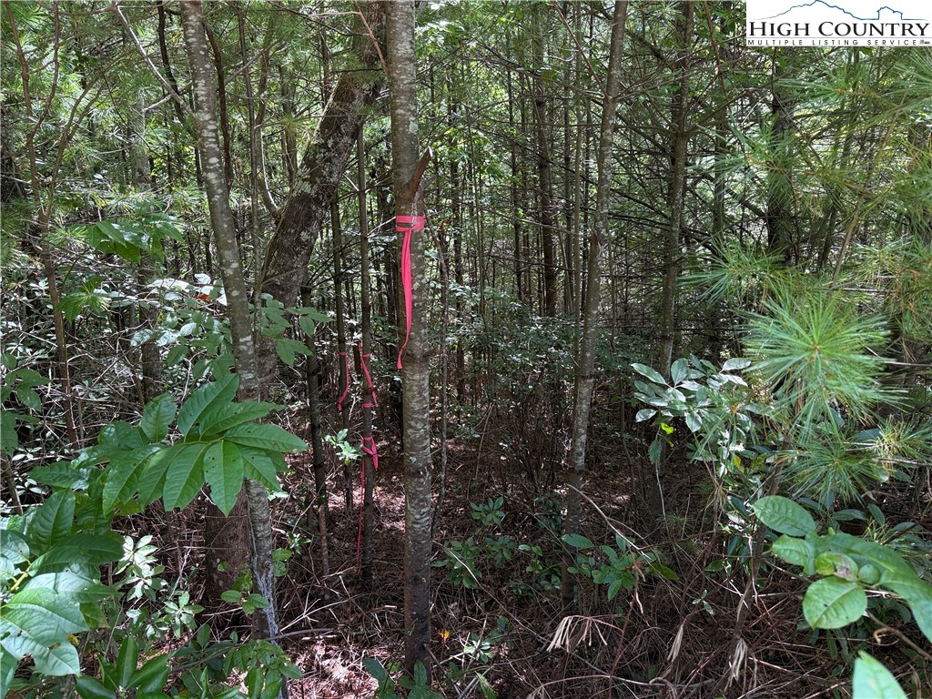 Lot 163 Staghorn Road Property Photo 10
