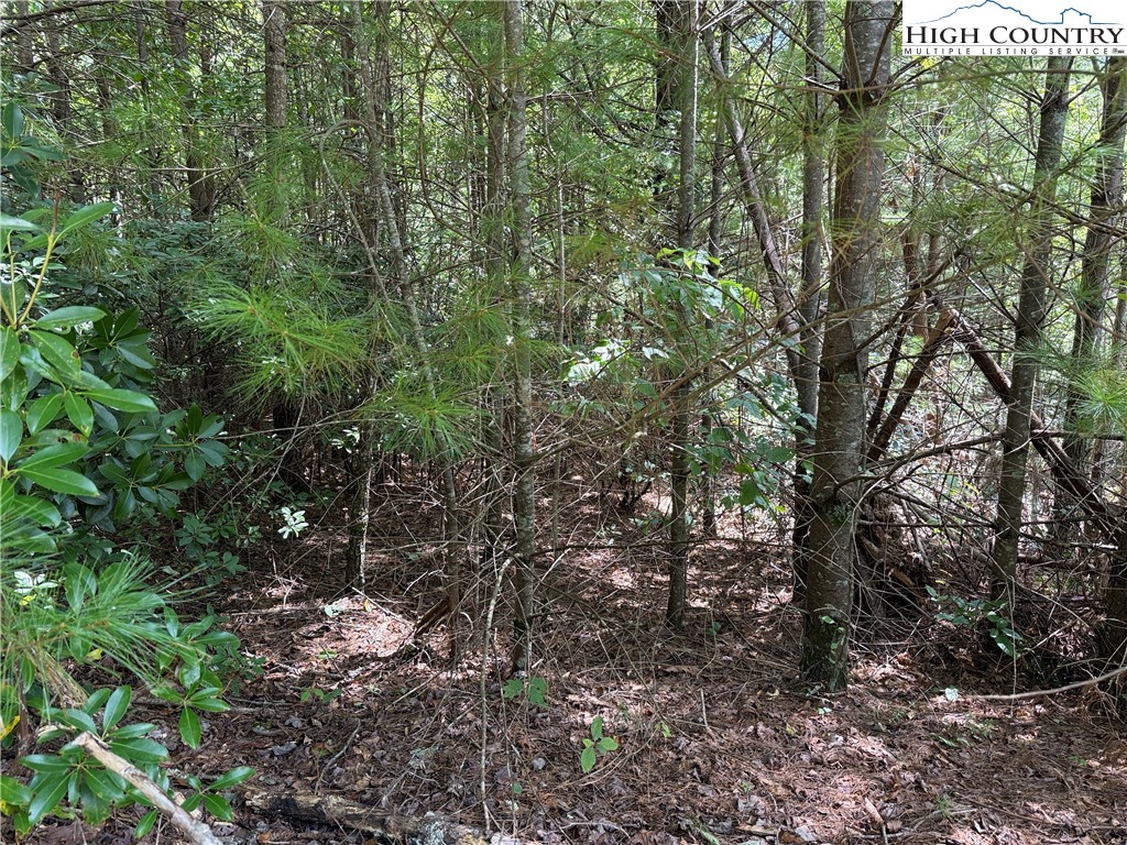 Lot 163 Staghorn Road Property Photo 11