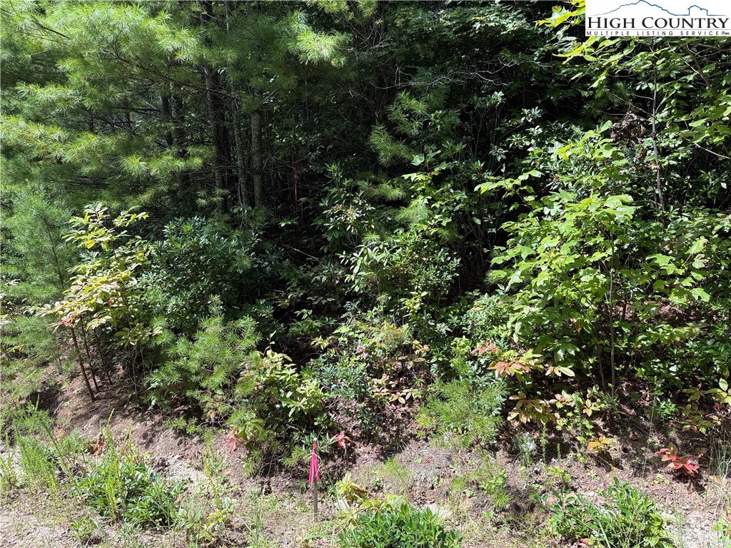Lot 163 Staghorn Road Property Photo 12