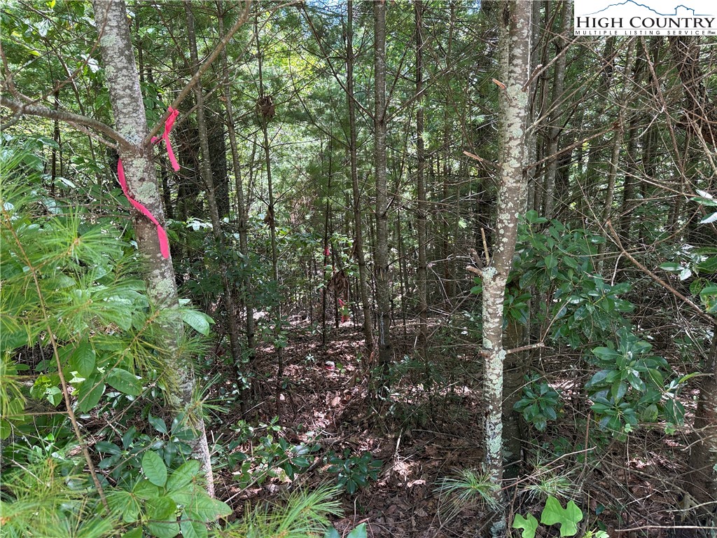 Lot 163 Staghorn Road Property Photo 13