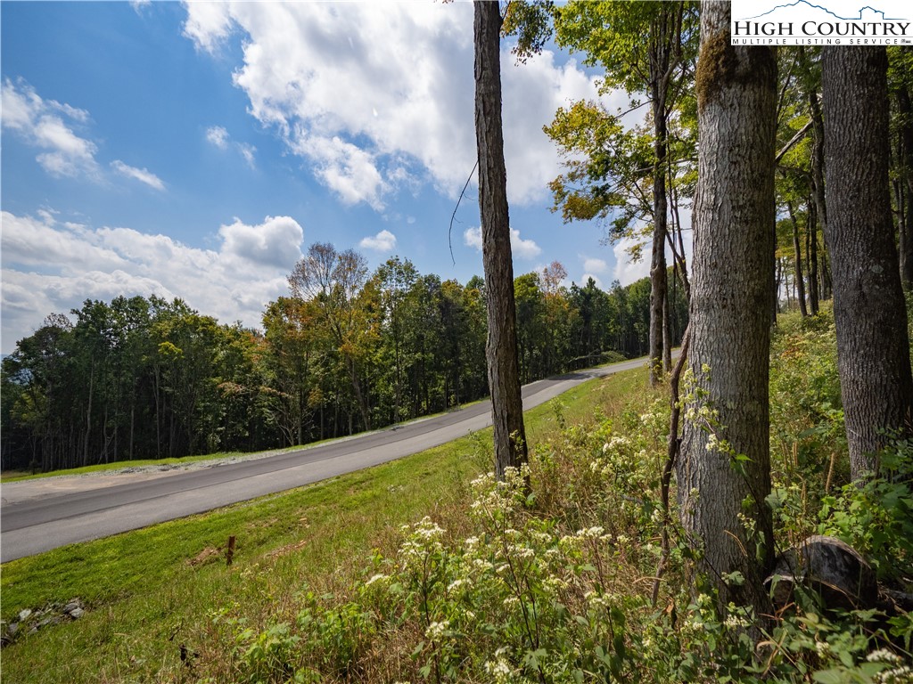 Lot 25 Poplar Forest Drive Property Photo 6