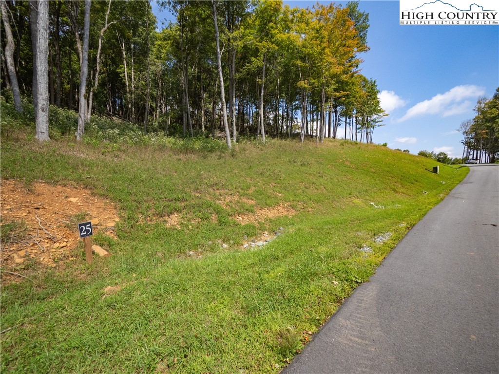 Lot 25 Poplar Forest Drive Property Photo 7