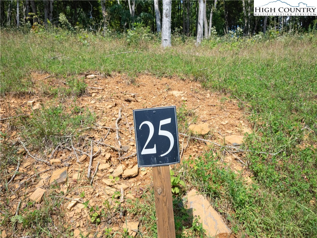Lot 25 Poplar Forest Drive Property Photo 8