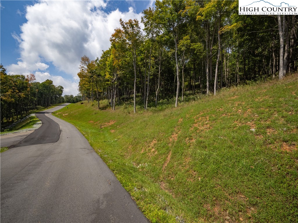 Lot 25 Poplar Forest Drive Property Photo 9