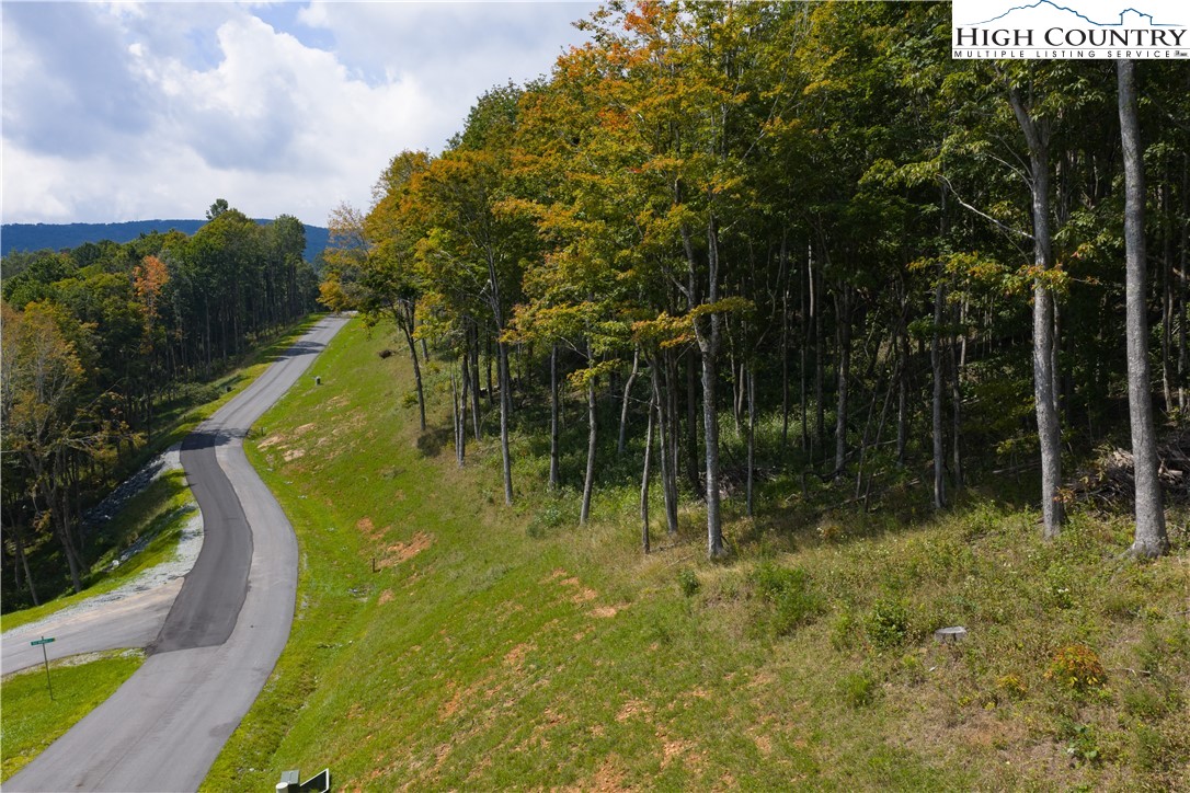 Lot 25 Poplar Forest Drive Property Photo 11