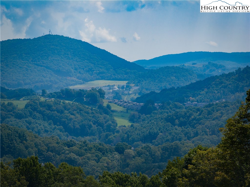 Lot 25 Poplar Forest Drive Property Photo 18
