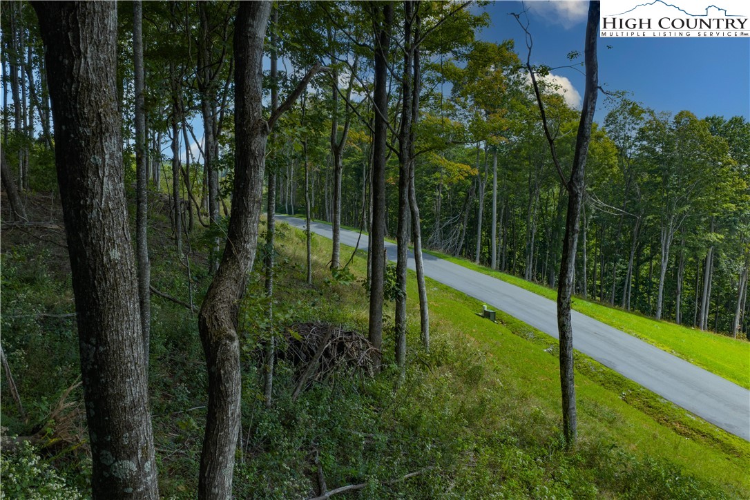 Lot 25 Poplar Forest Drive Property Photo 19