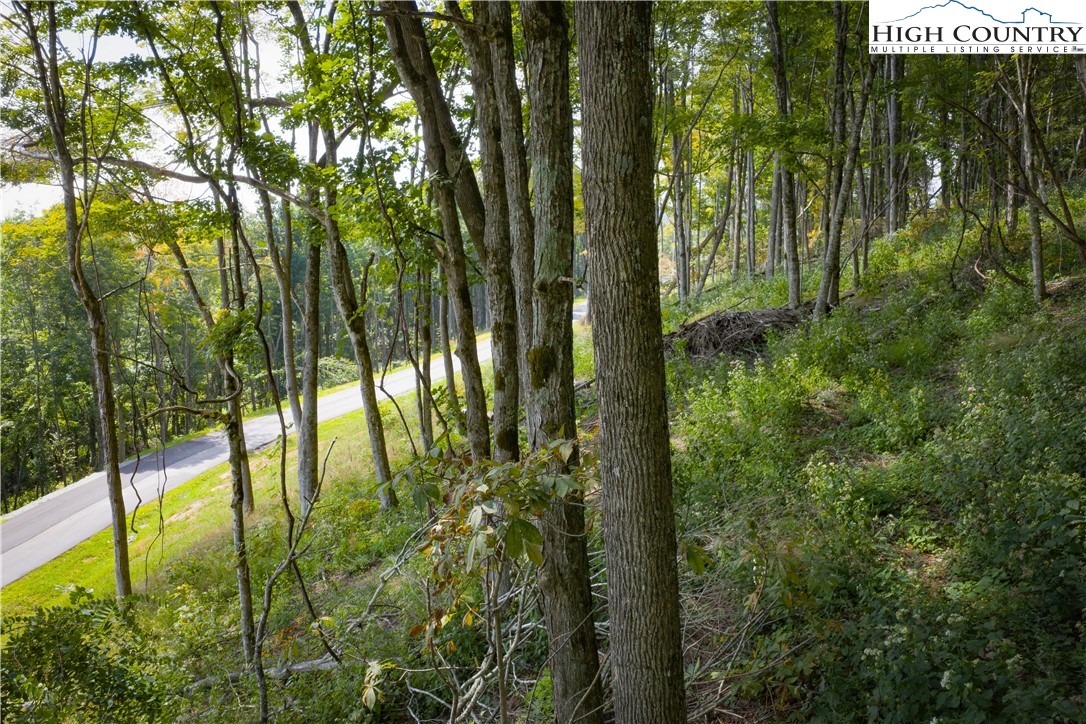Lot 25 Poplar Forest Drive Property Photo 20