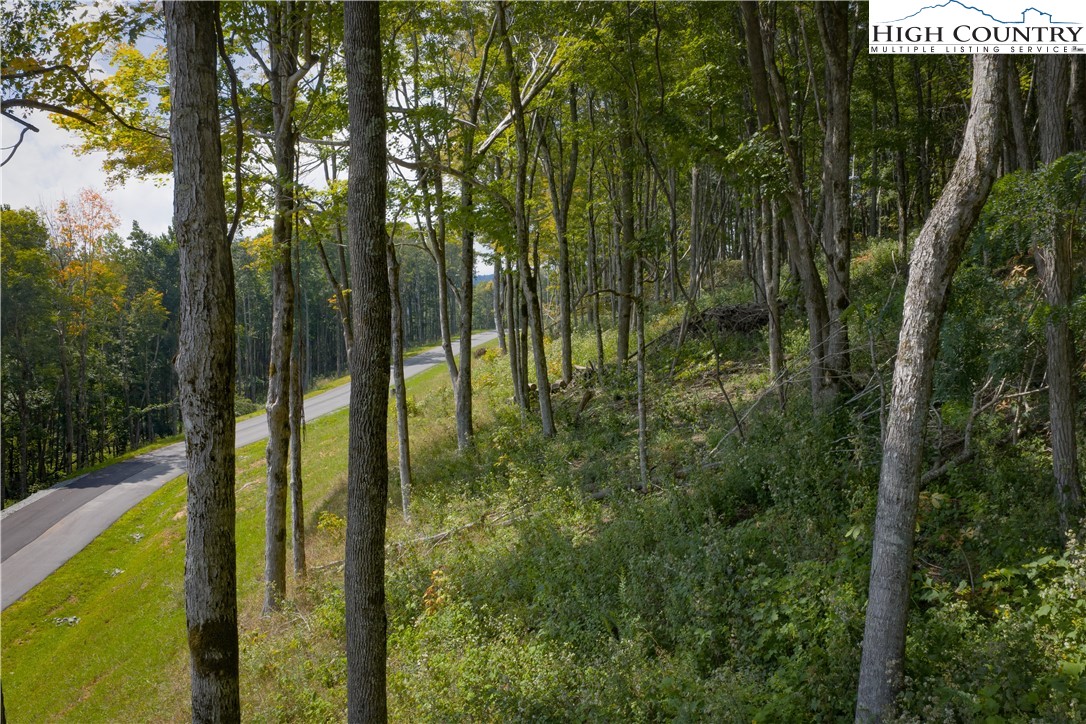 Lot 25 Poplar Forest Drive Property Photo 22