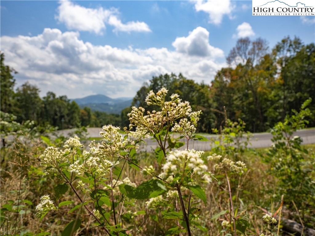 Lot 25 Poplar Forest Drive Property Photo 23