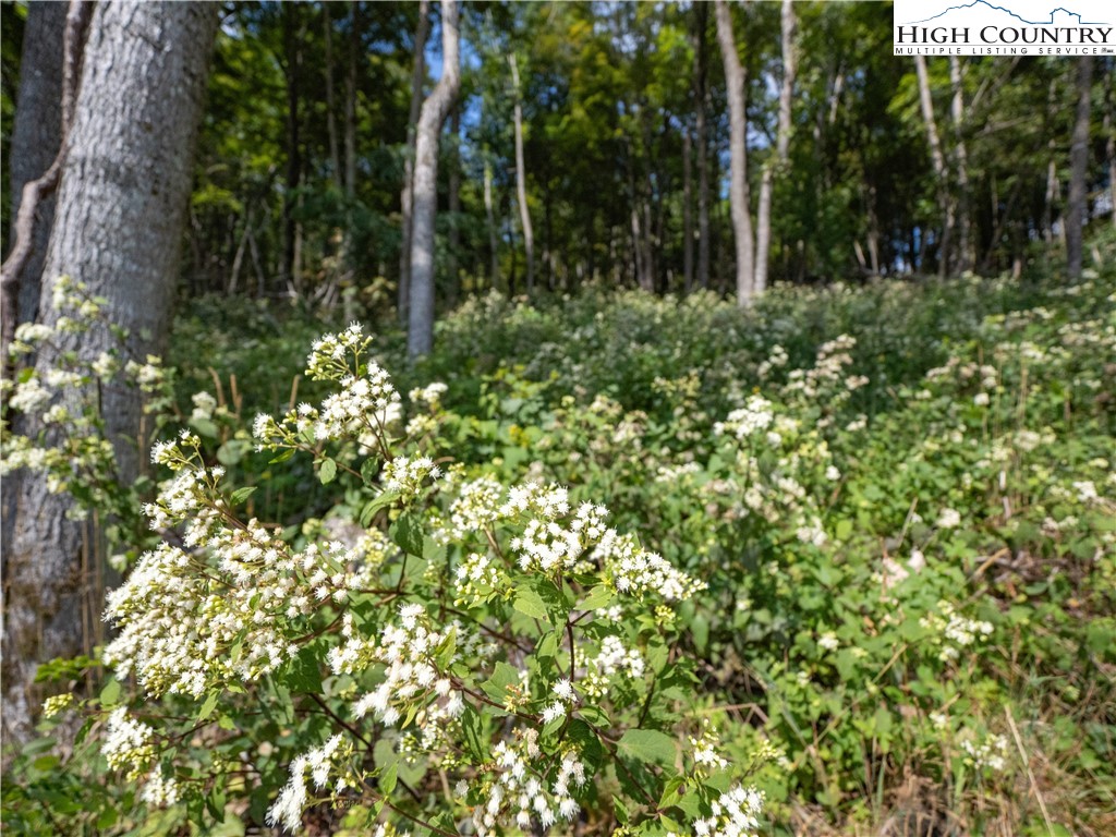 Lot 25 Poplar Forest Drive Property Photo 26